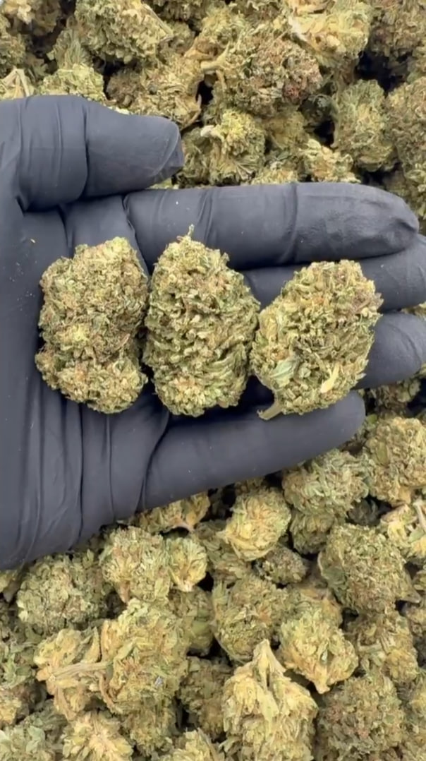 Crenshaw Melon Depths